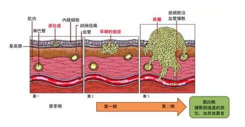 微信图片_20180411171147.jpg